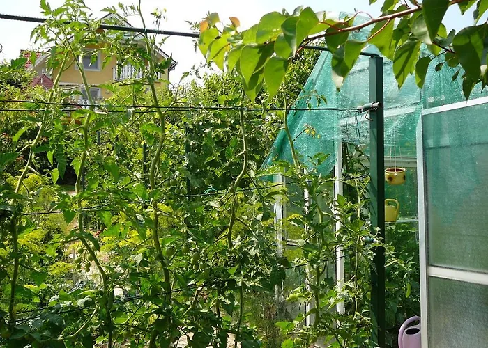 Hévíz -alsópáhok Villa-erika *